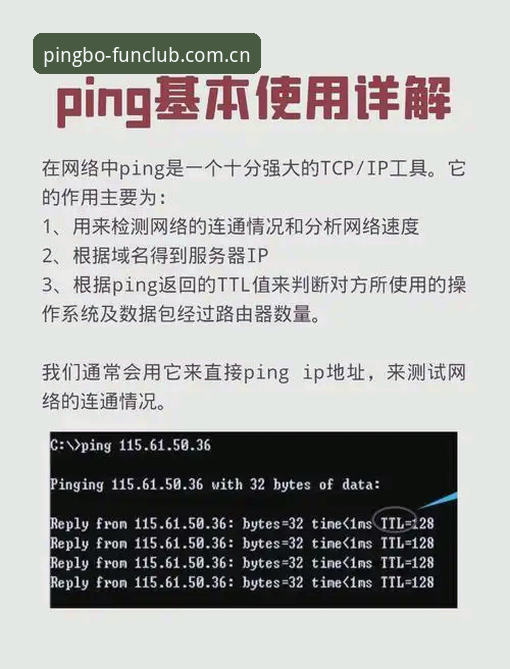 平博娱乐平台教程 平博体育平台新手入门教程详解:从注册到手机版下载全攻略