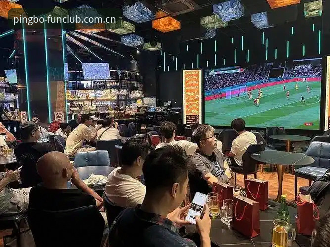世界杯观赛实用指南：从签证困境到平博体育平台的观赛新体验